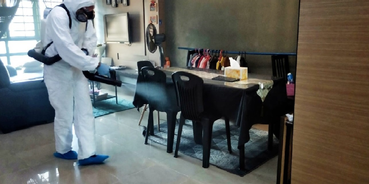 How Often Should Pest Control be Done?